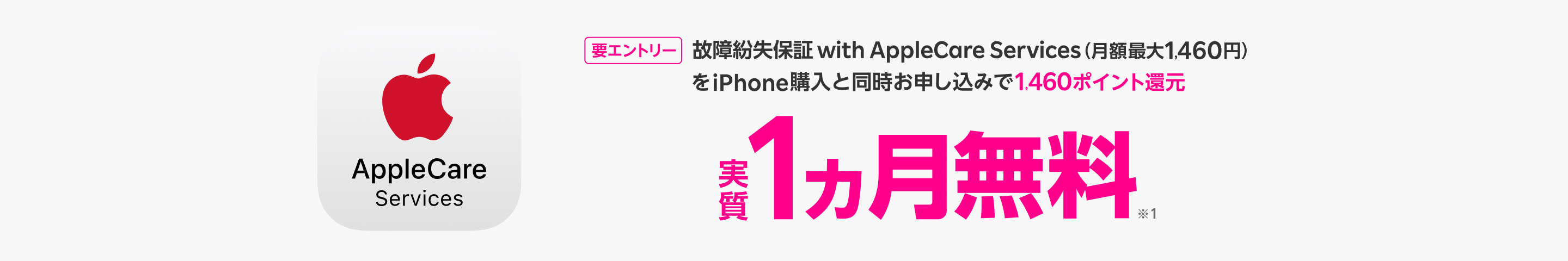 故障紛失保証 with AppleCare Services(月額最大1,460円)をiPhone購入と同時申し込みで1,460ポイント還元。実質1カ月無料。